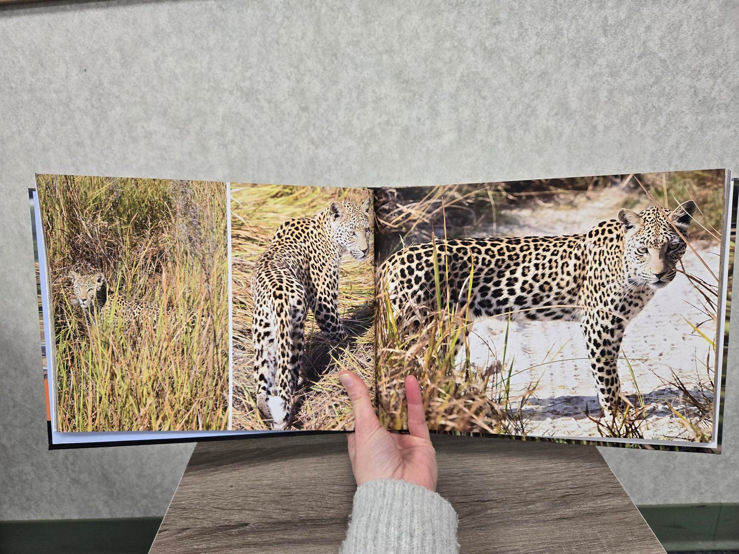 Nine Days in Eden. A Safari to the Okavango Delta in Botswana