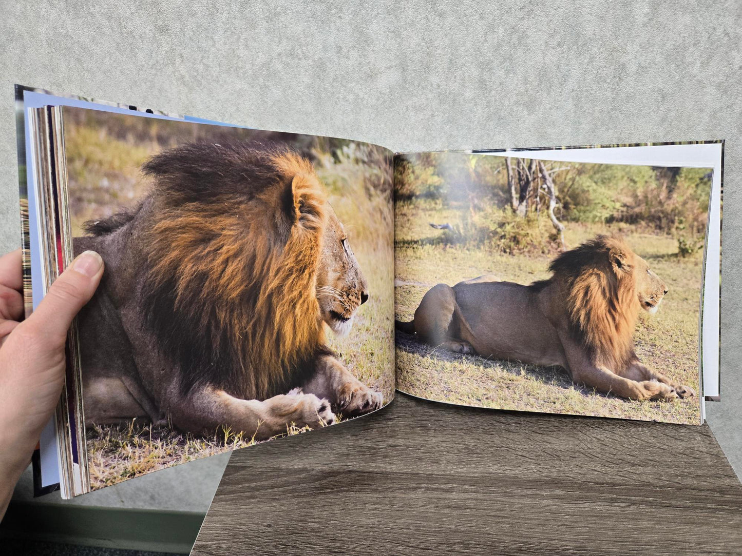 Nine Days in Eden. A Safari to the Okavango Delta in Botswana