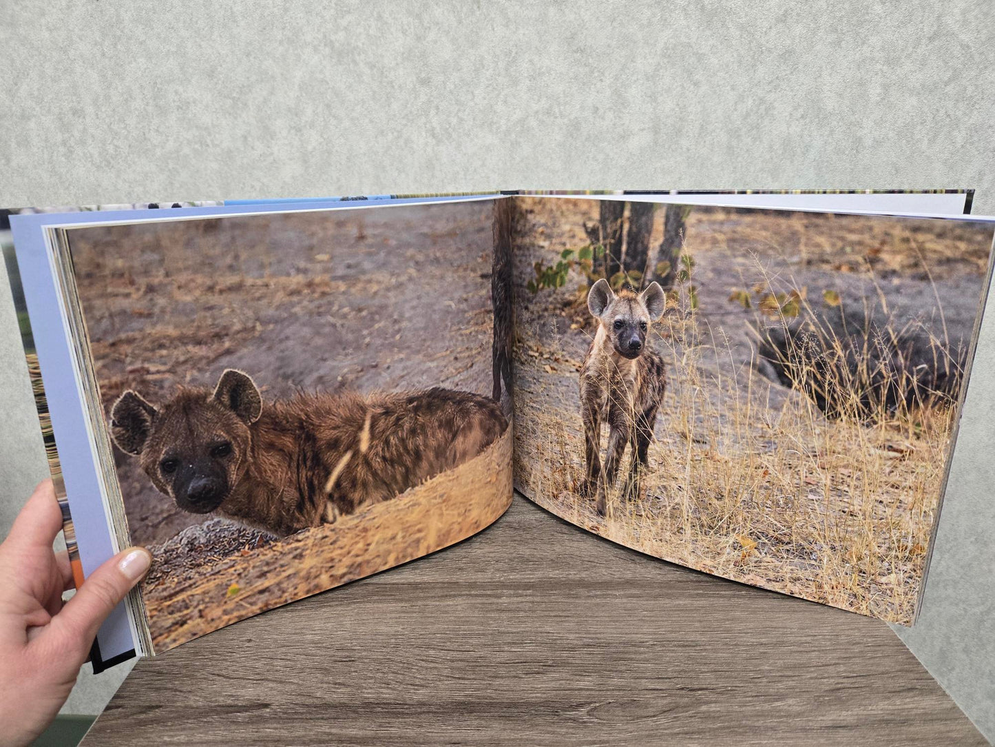Nine Days in Eden. A Safari to the Okavango Delta in Botswana