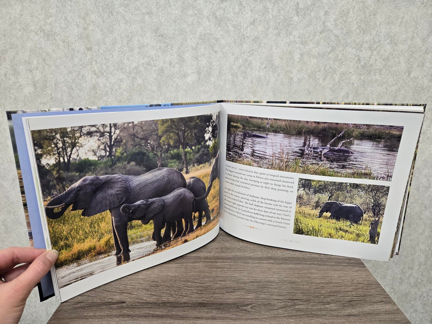 Nine Days in Eden. A Safari to the Okavango Delta in Botswana
