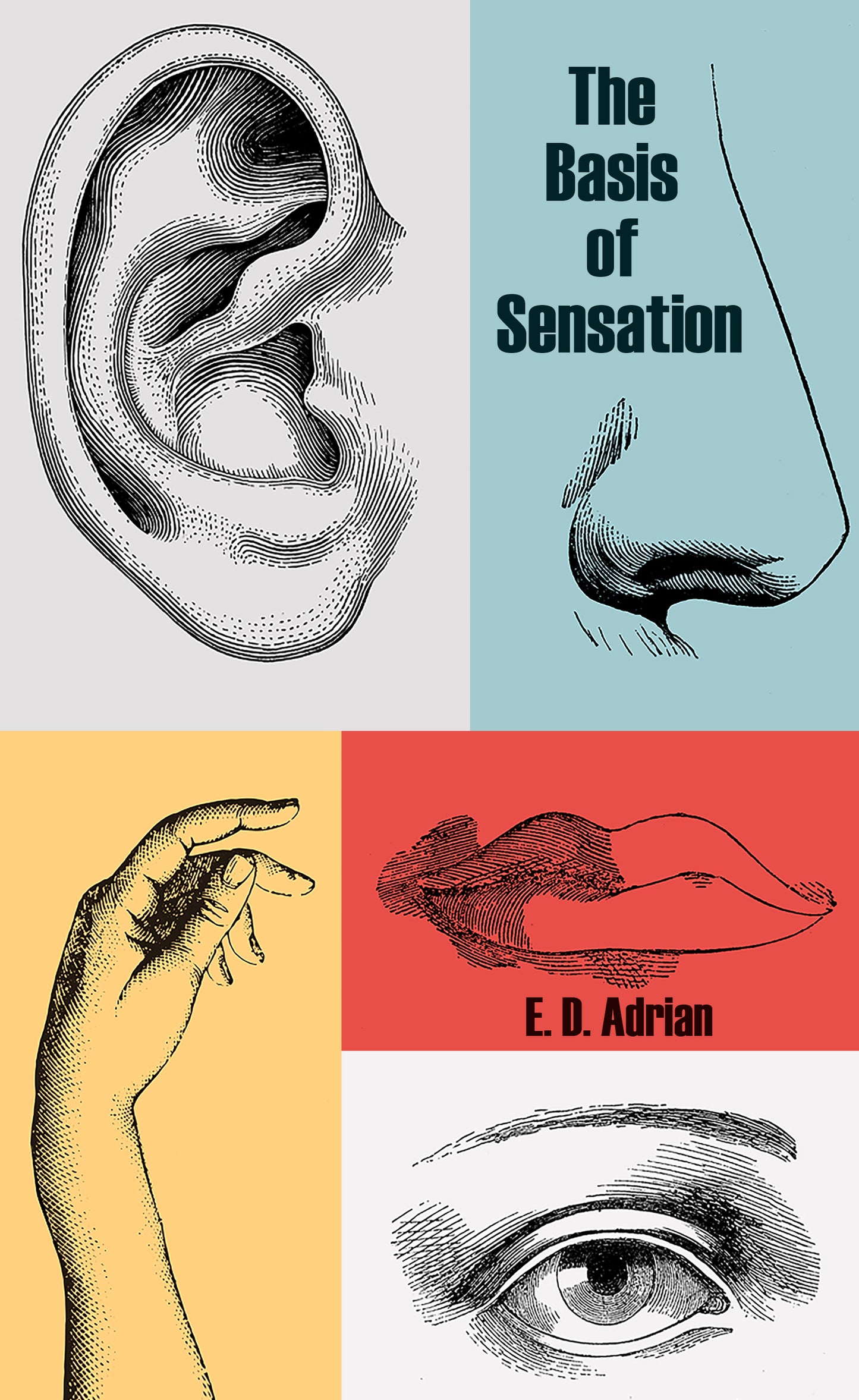 The Basis of Sensation
