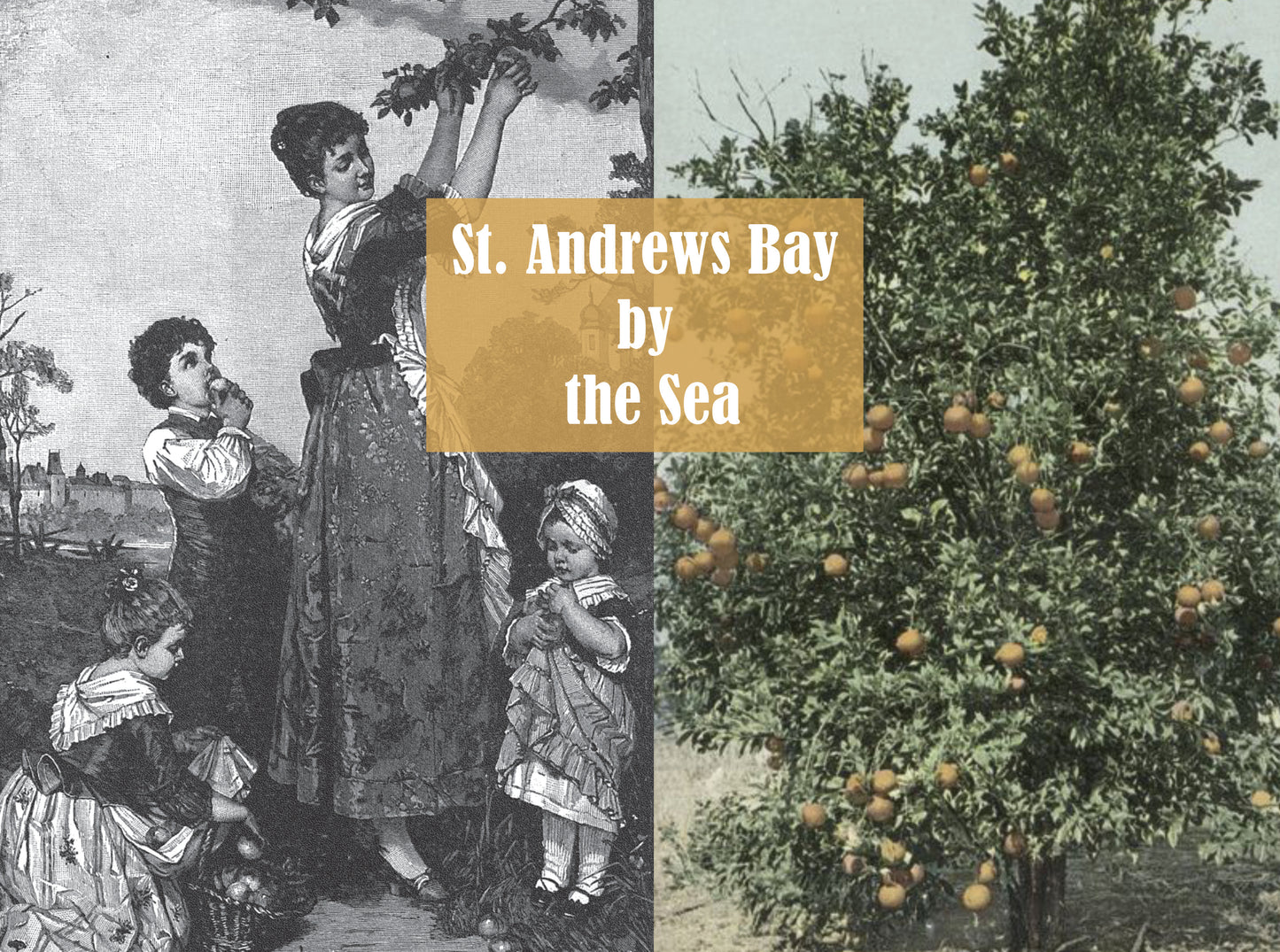 St. Andrews Bay by the Sea