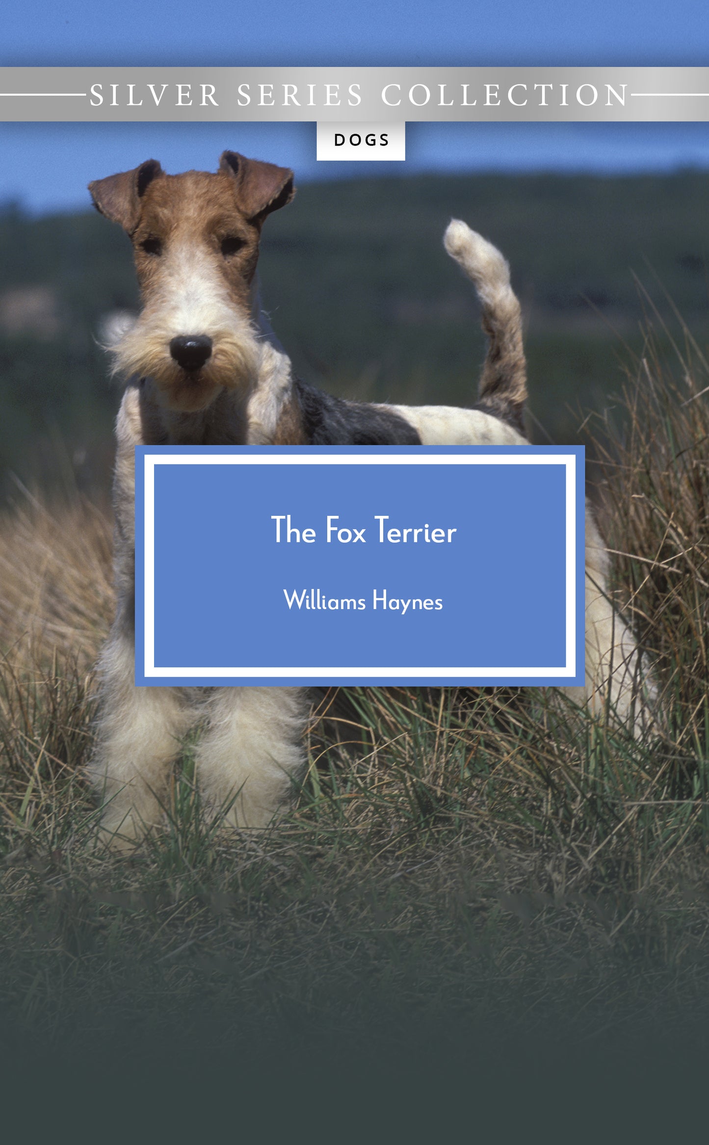 The Fox Terrier