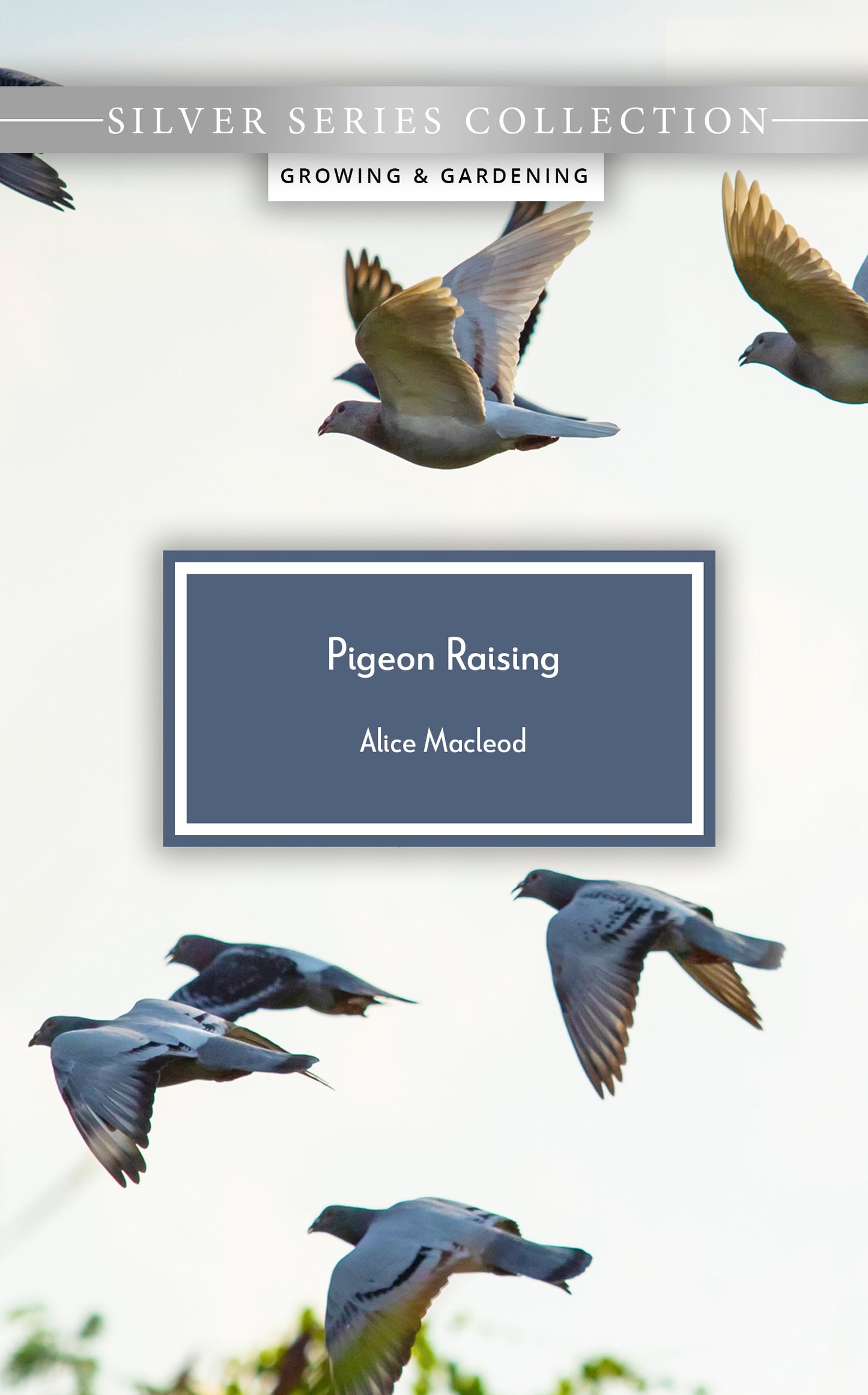 Pigeon Raising