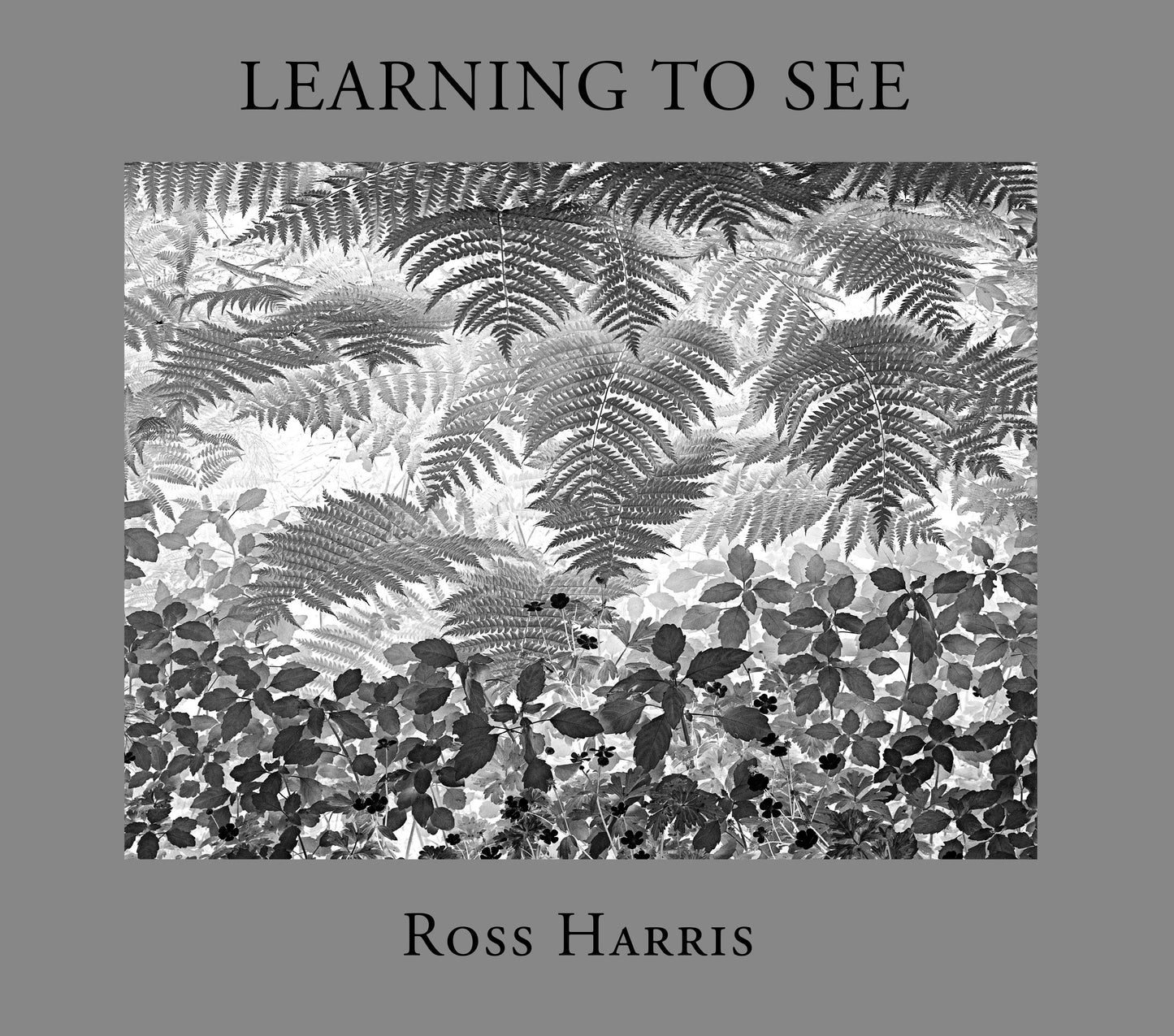 Learning to See