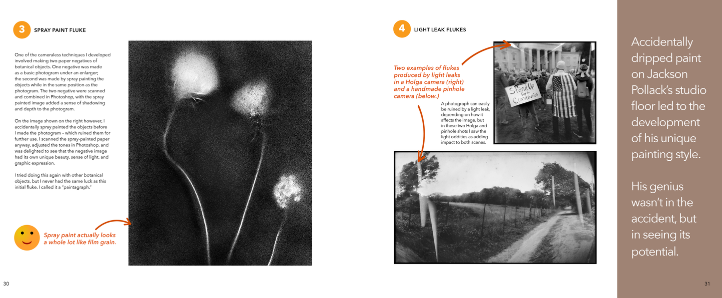 Flubs, Flops, and Flukes: Notes on Photography and Life