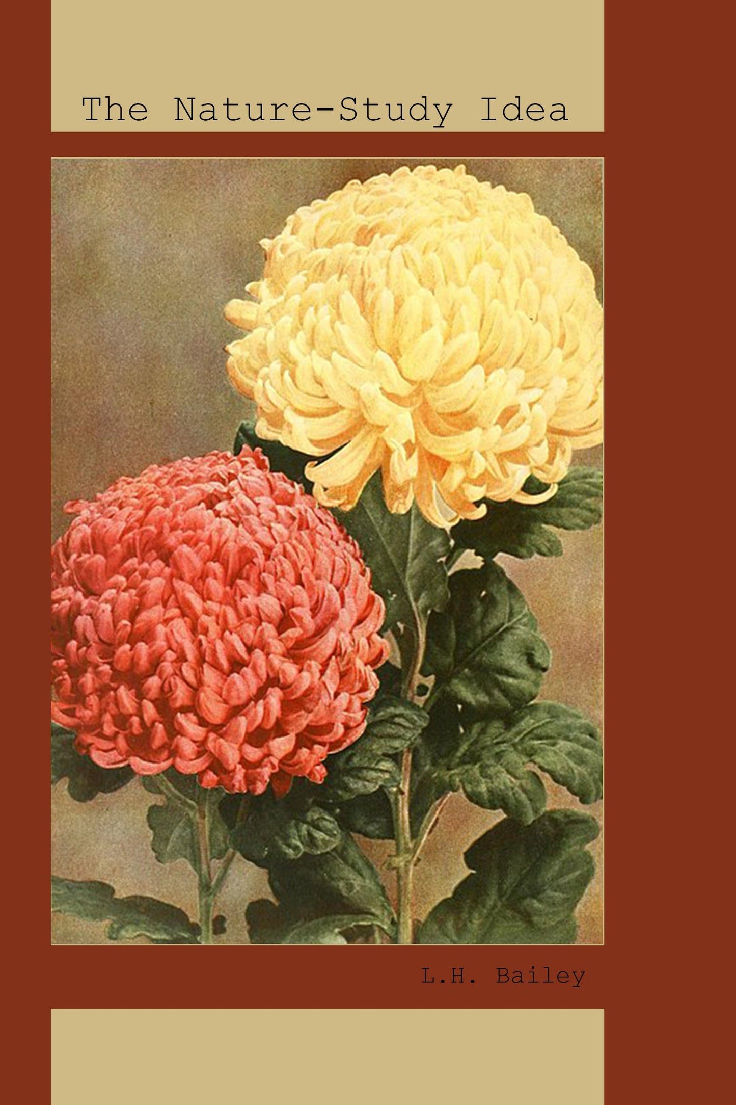 The Nature-Study Idea