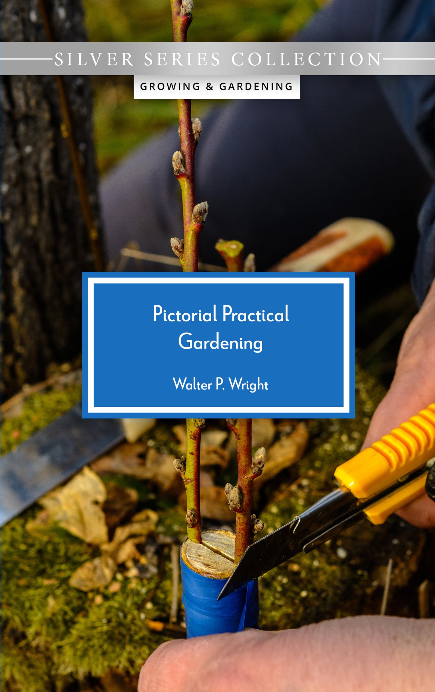 Pictorial Practical Gardening