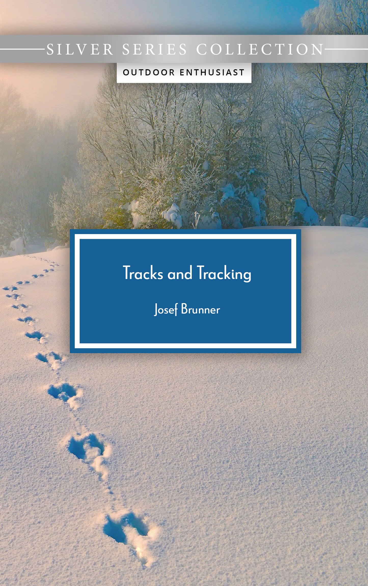 Tracks and Tracking