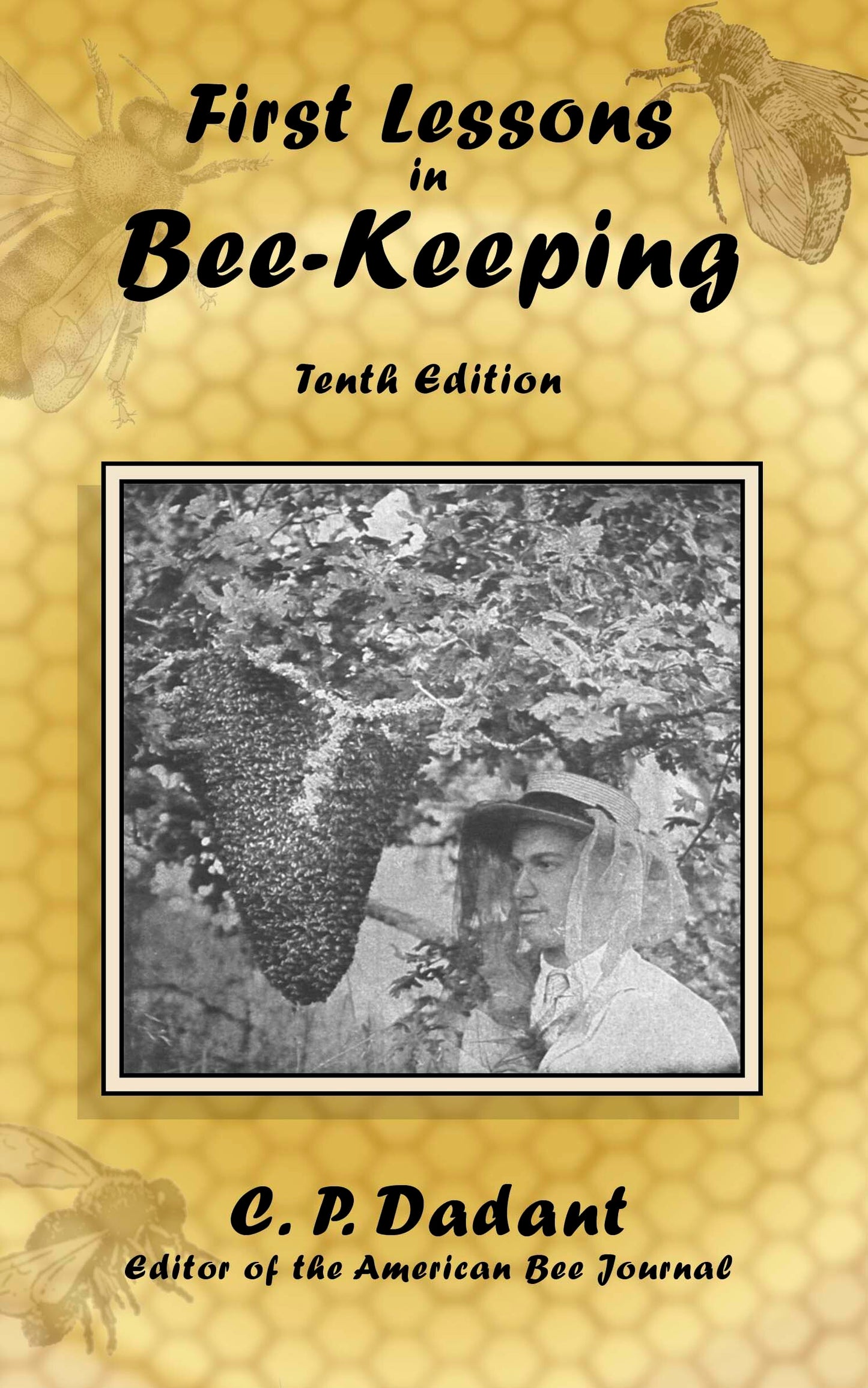 First Lessons in Beekeeping
