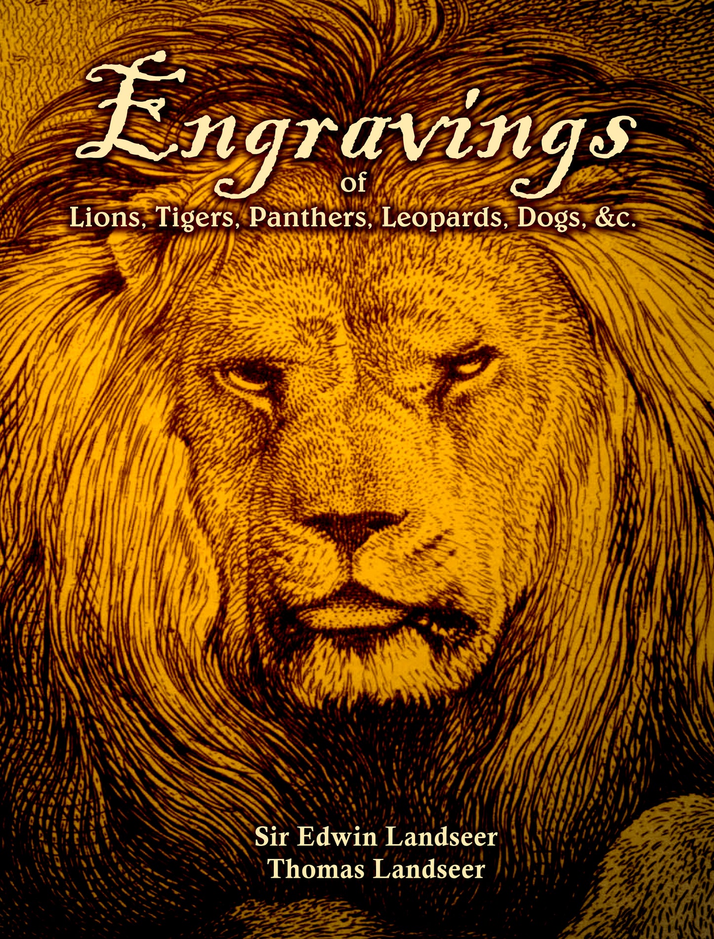 Engravings Of Lions Tigers Panthers Etc