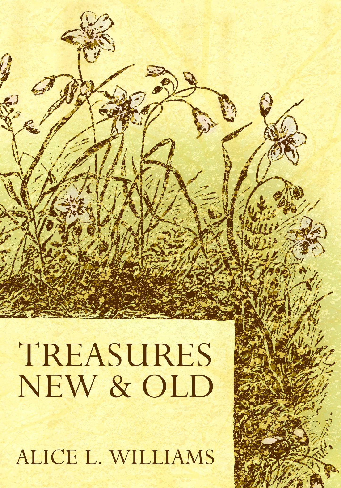 Treasures Old And New