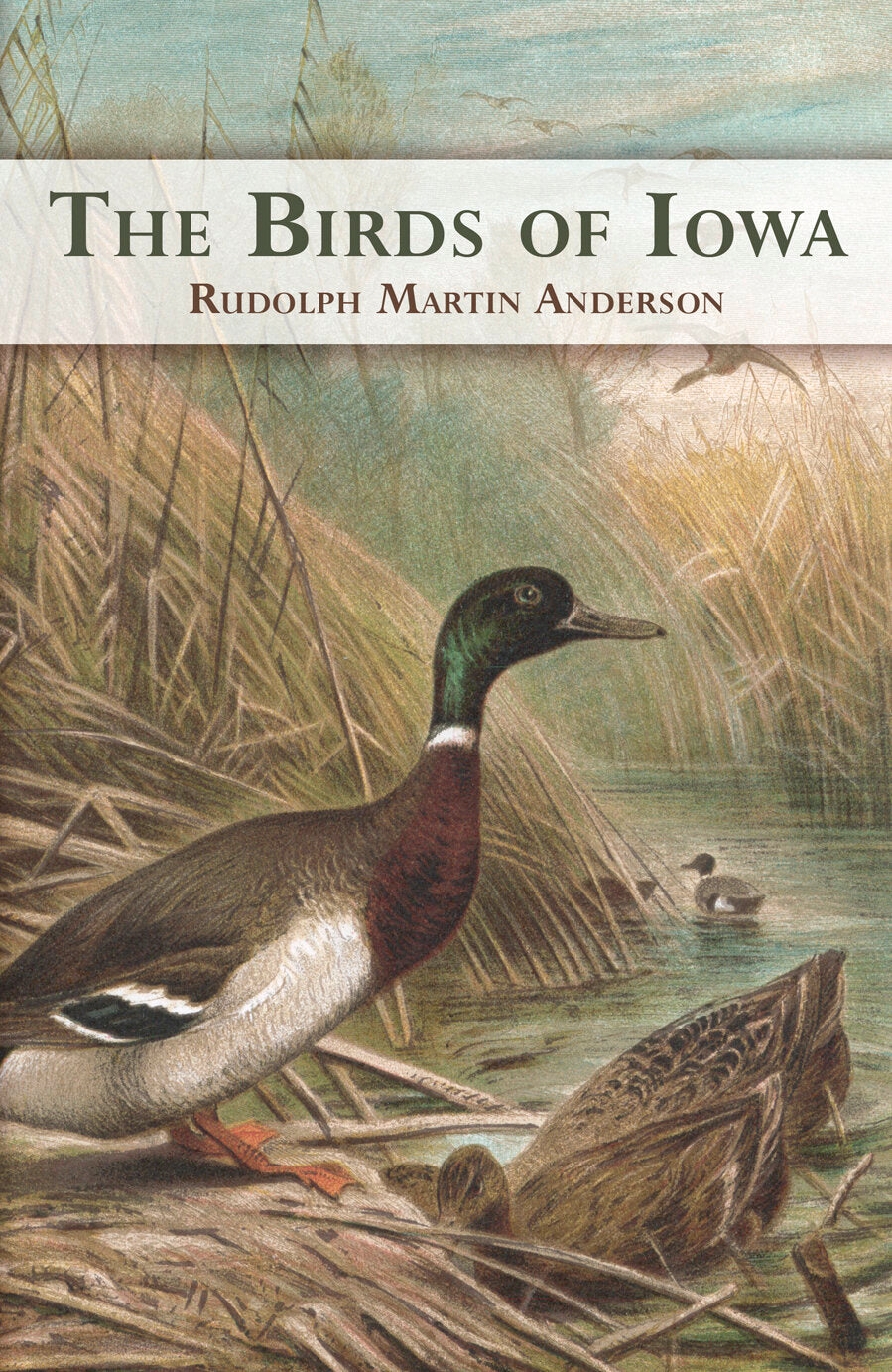 Birds of Iowa