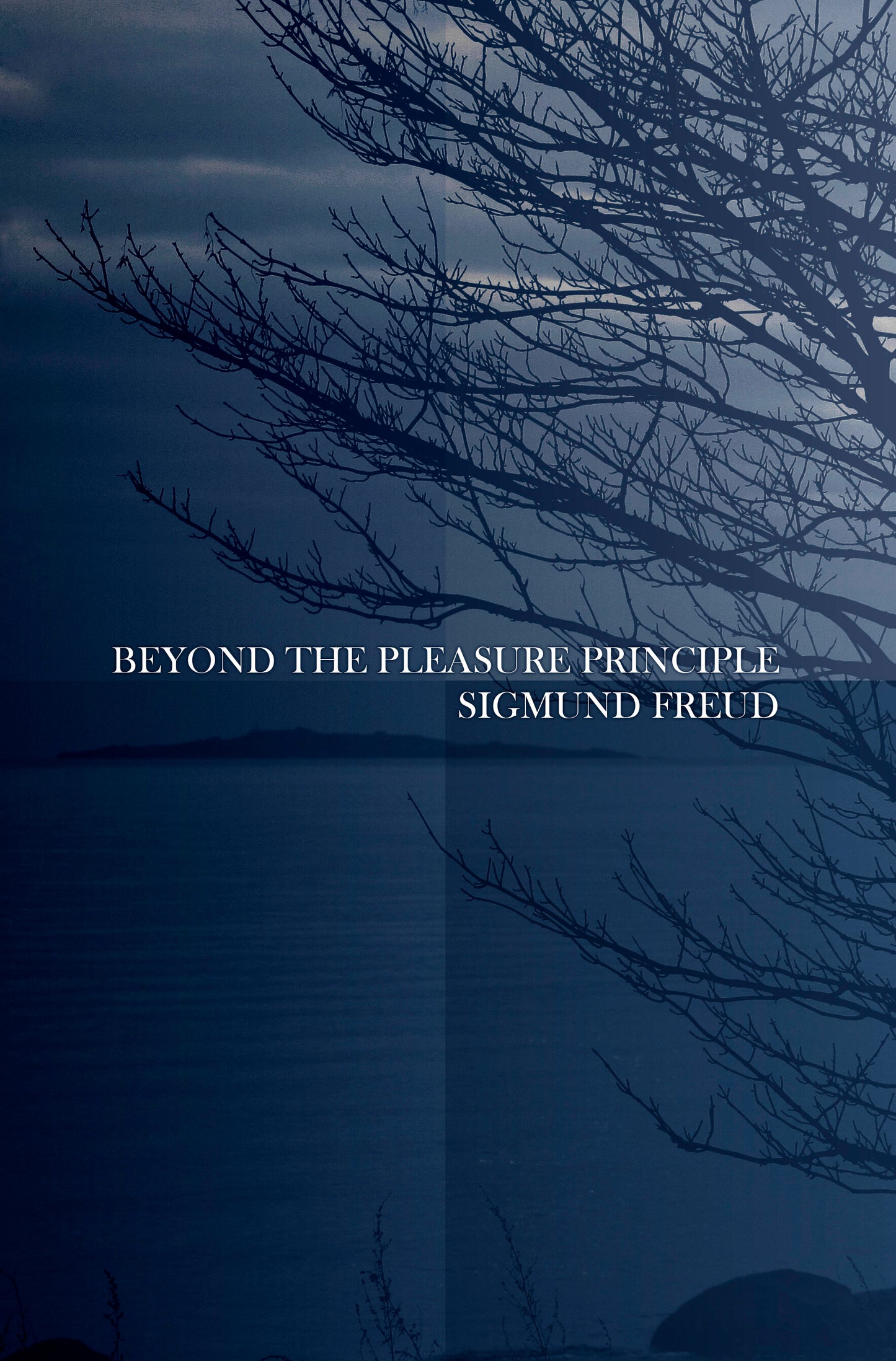 Beyond the Pleasure Principle