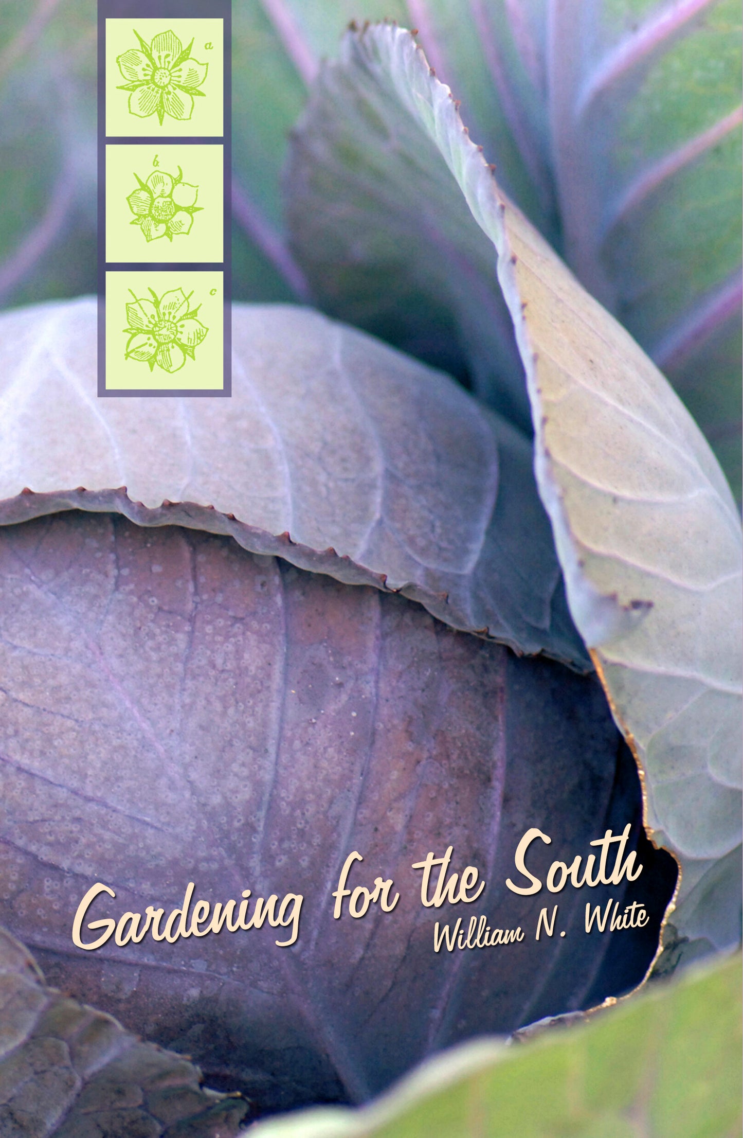Gardening for the South