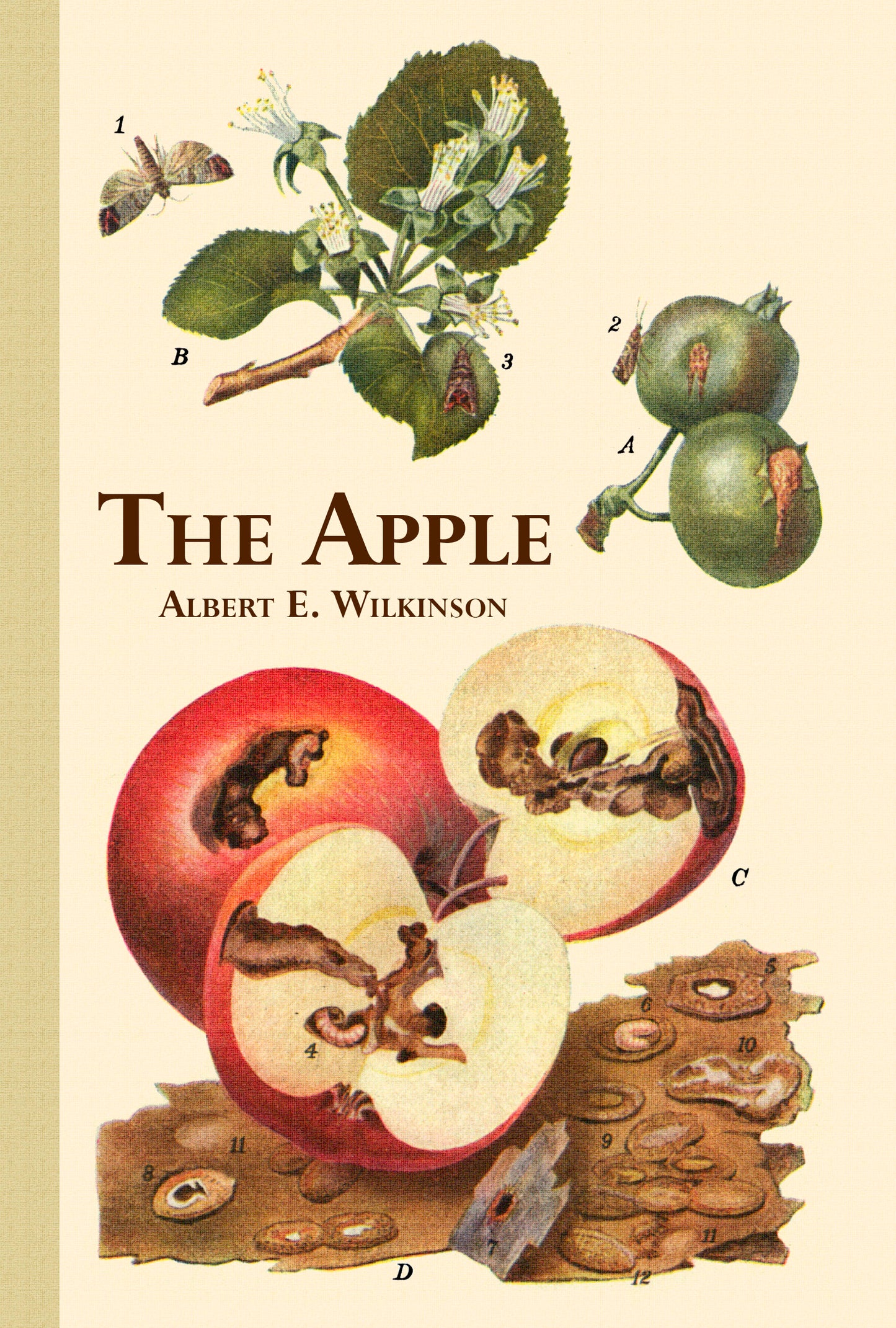 The Apple