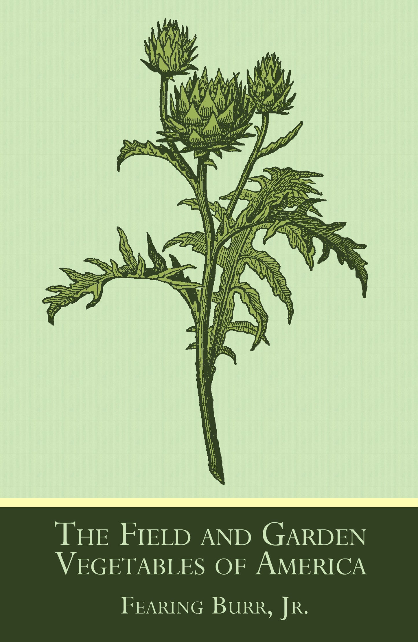 The Field and Garden Vegetables of America