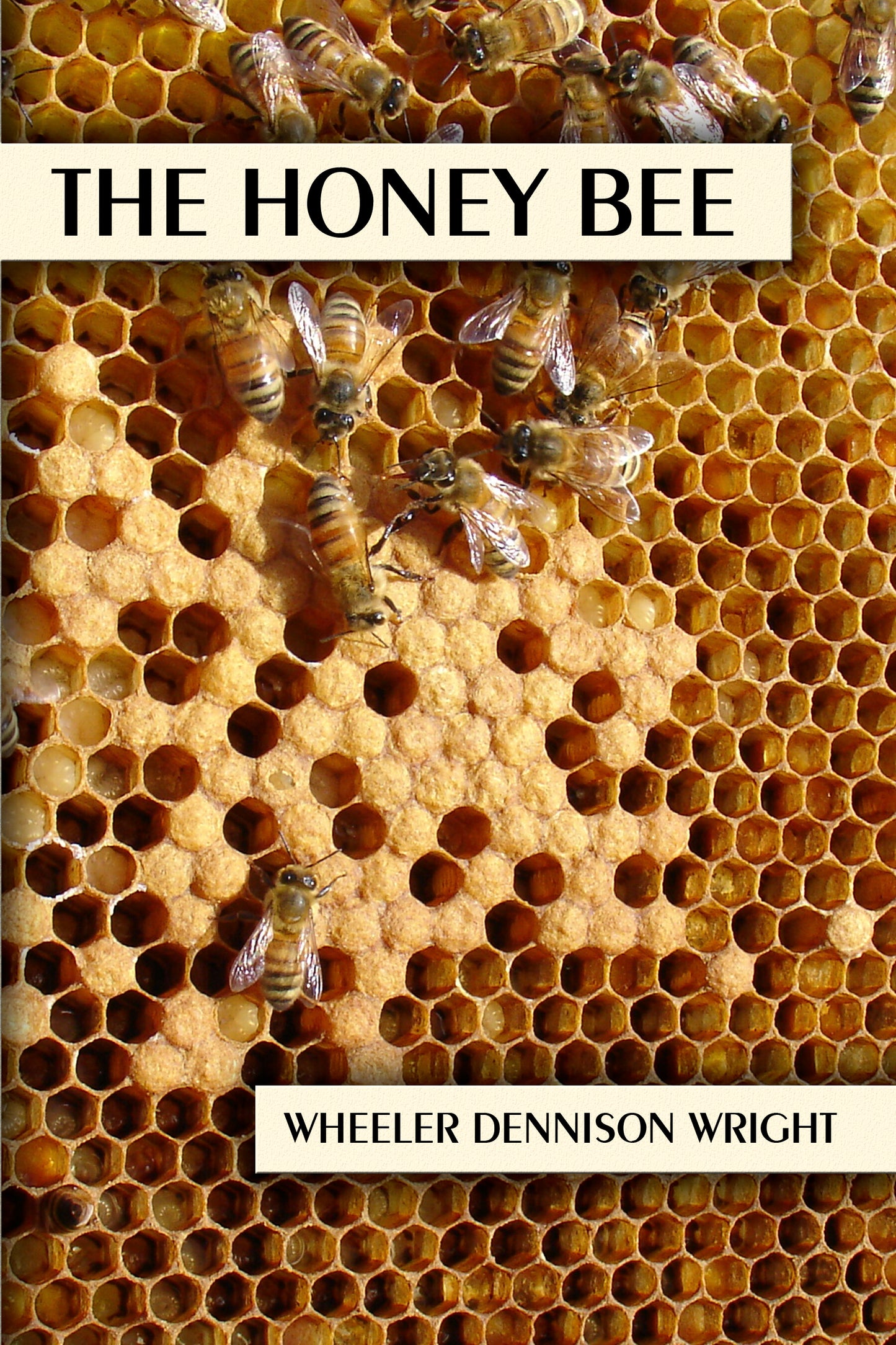 The Honey Bee