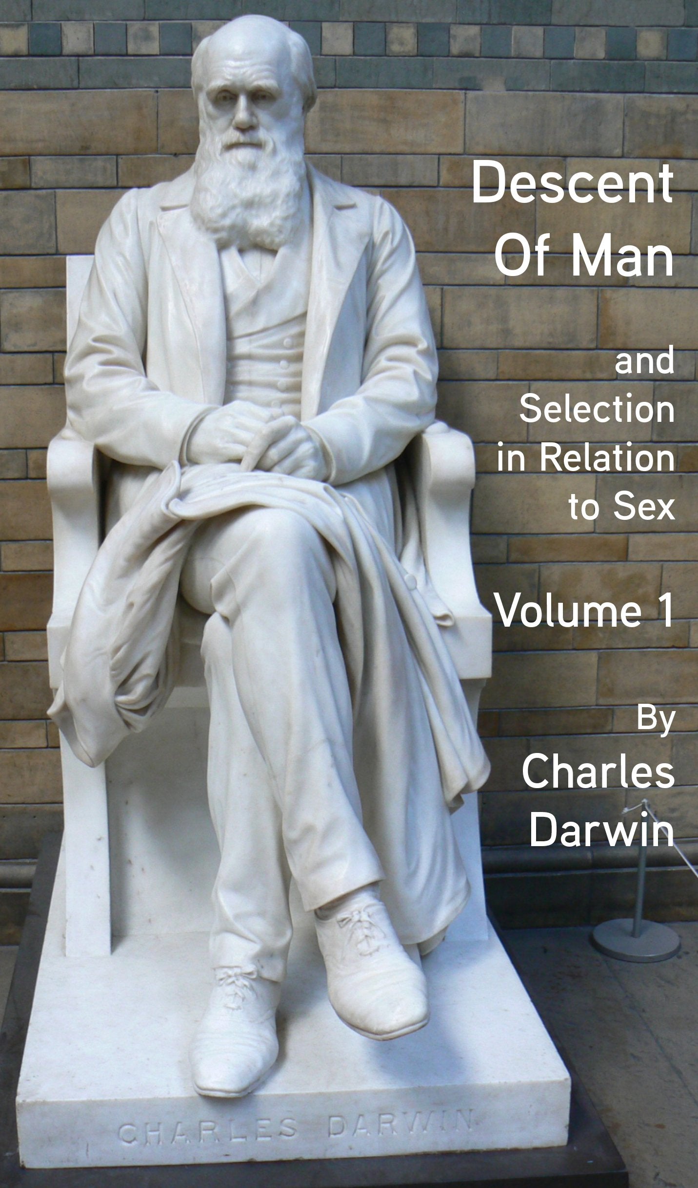 Descent Of Man Volume I