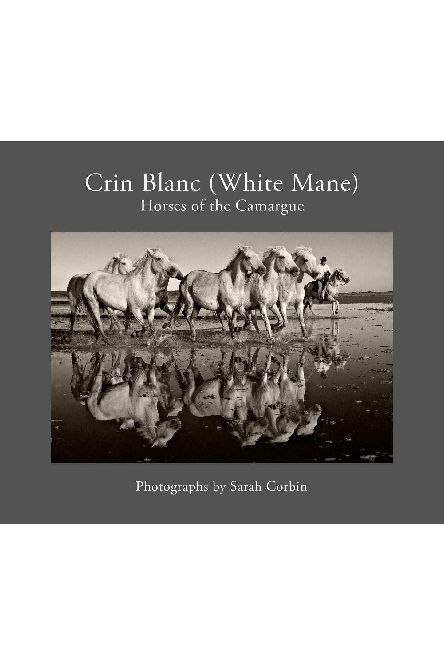 Crin Blanc (White Mane): Horses of the Camargue