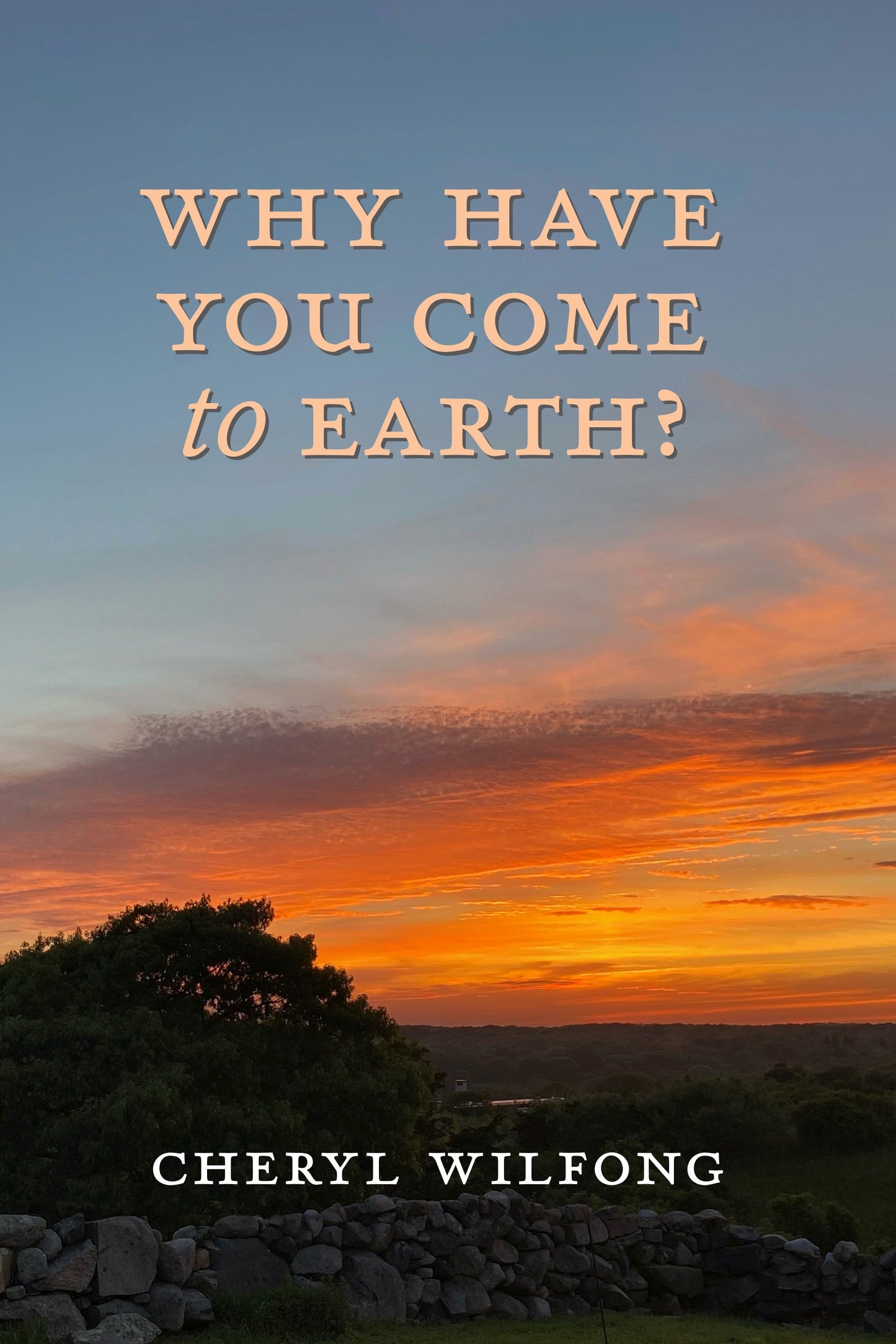 Why Have You Come to Earth?