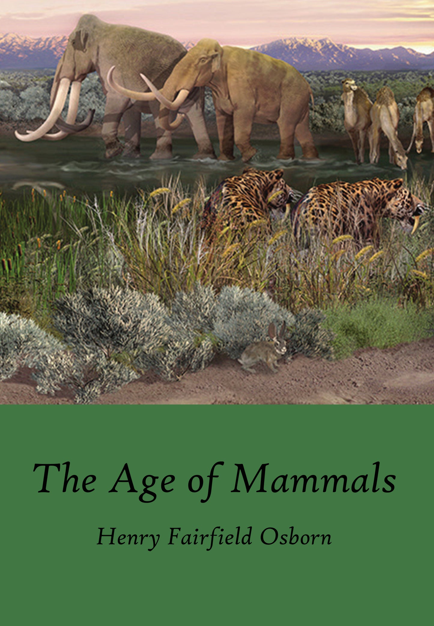 The Age of Mammals