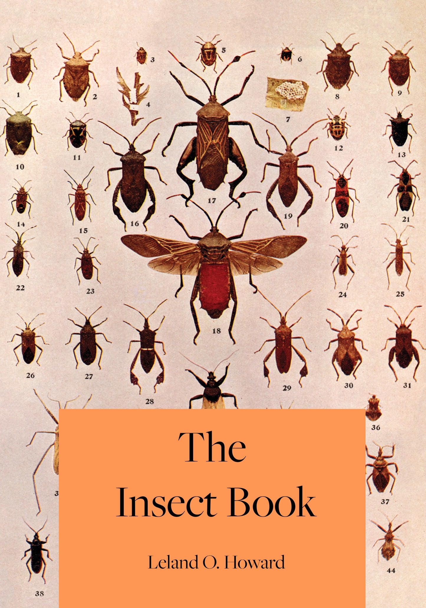 The Insect Book