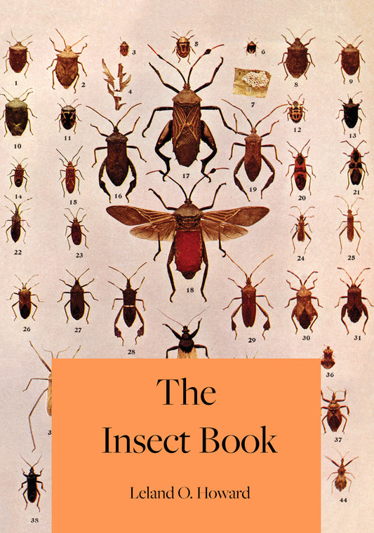 The Insect Book