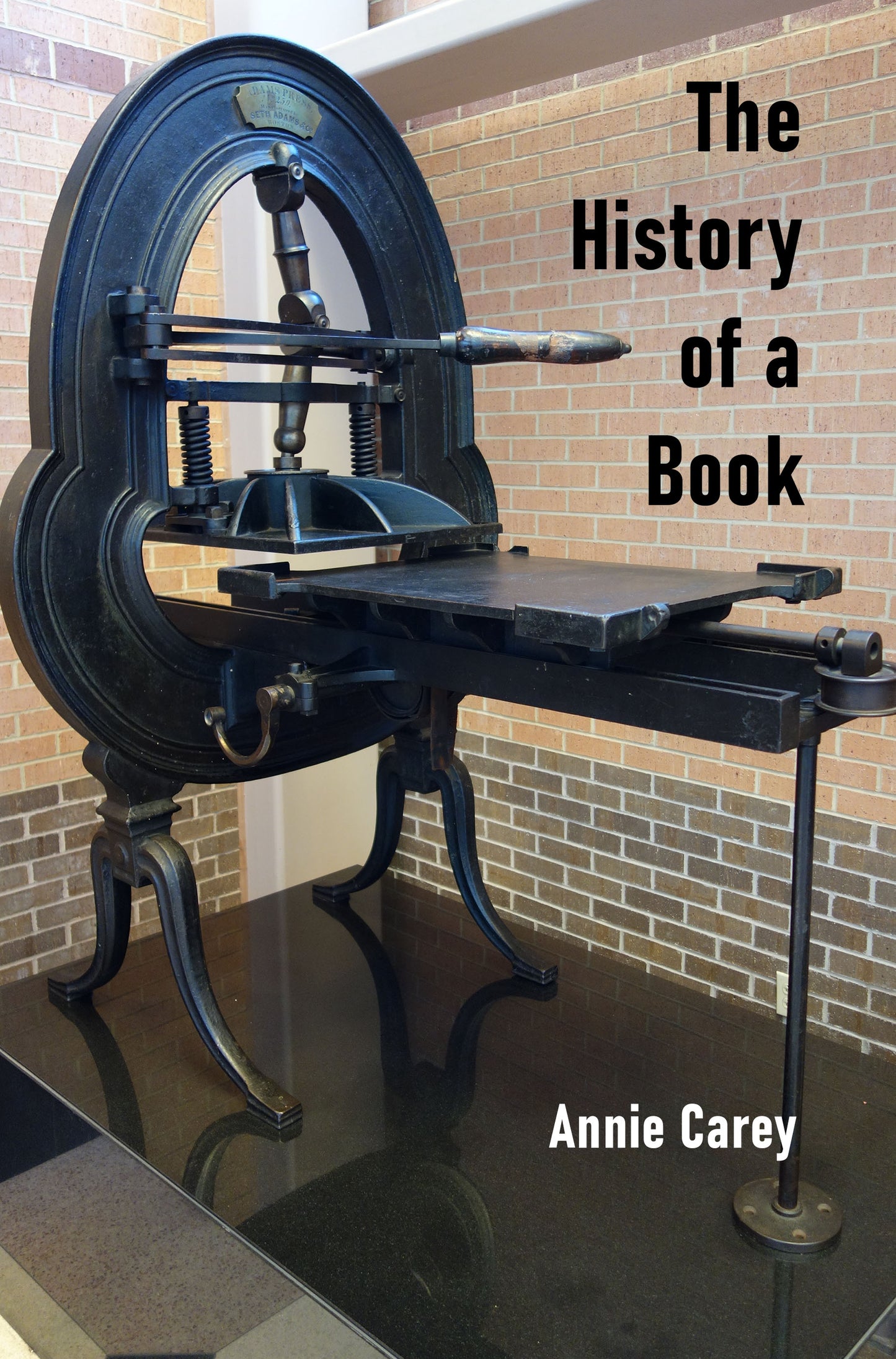 The History of a Book