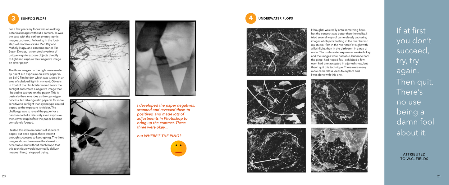 Flubs, Flops, and Flukes: Notes on Photography and Life