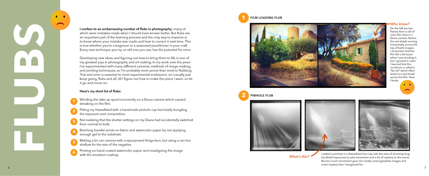 Flubs, Flops, and Flukes: Notes on Photography and Life