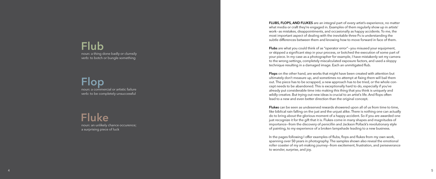 Flubs, Flops, and Flukes: Notes on Photography and Life