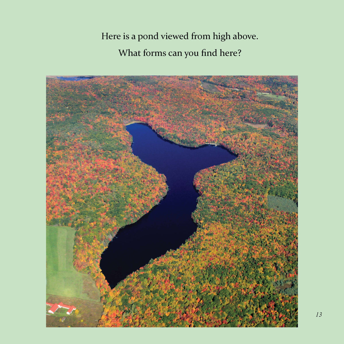 What Else Do You See? sample page 1