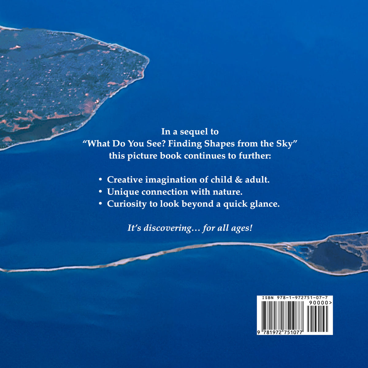 What Else Do You See? sample page 3