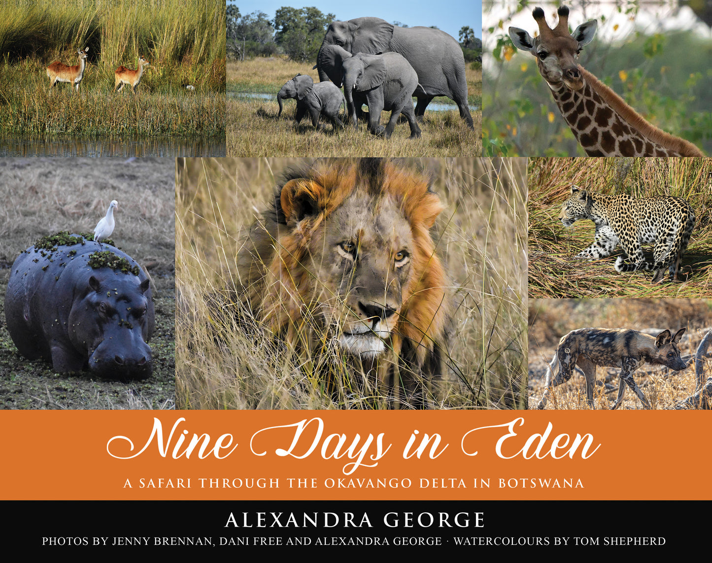 Nine Days in Eden. A Safari to the Okavango Delta in Botswana