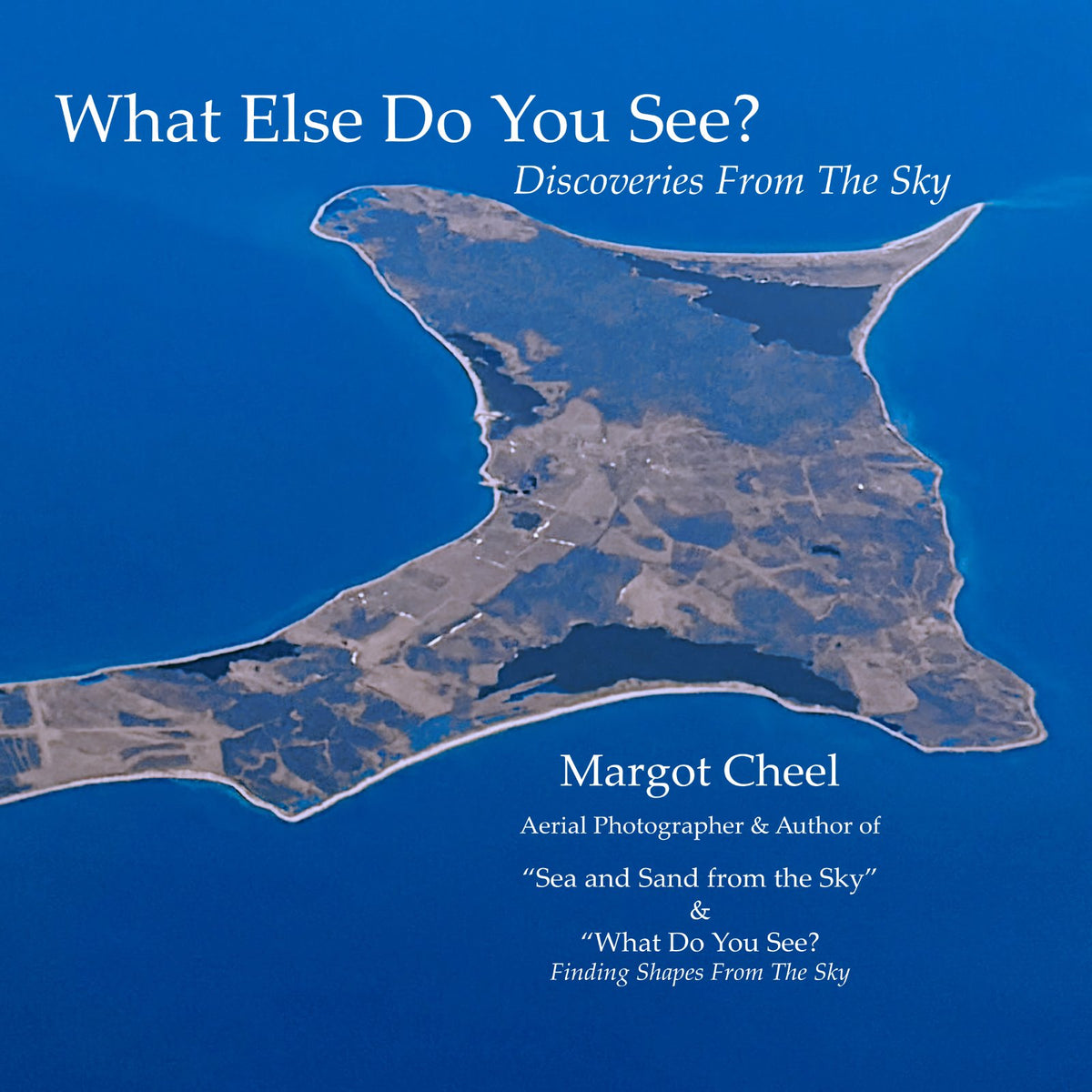 What Else Do You See? cover