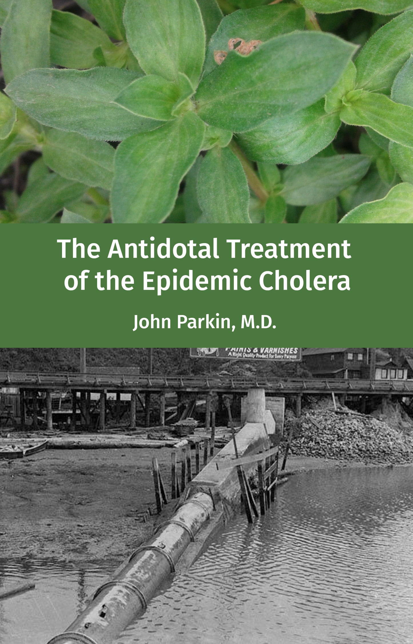 The Antidotal Treatment of the Epidemic Cholera