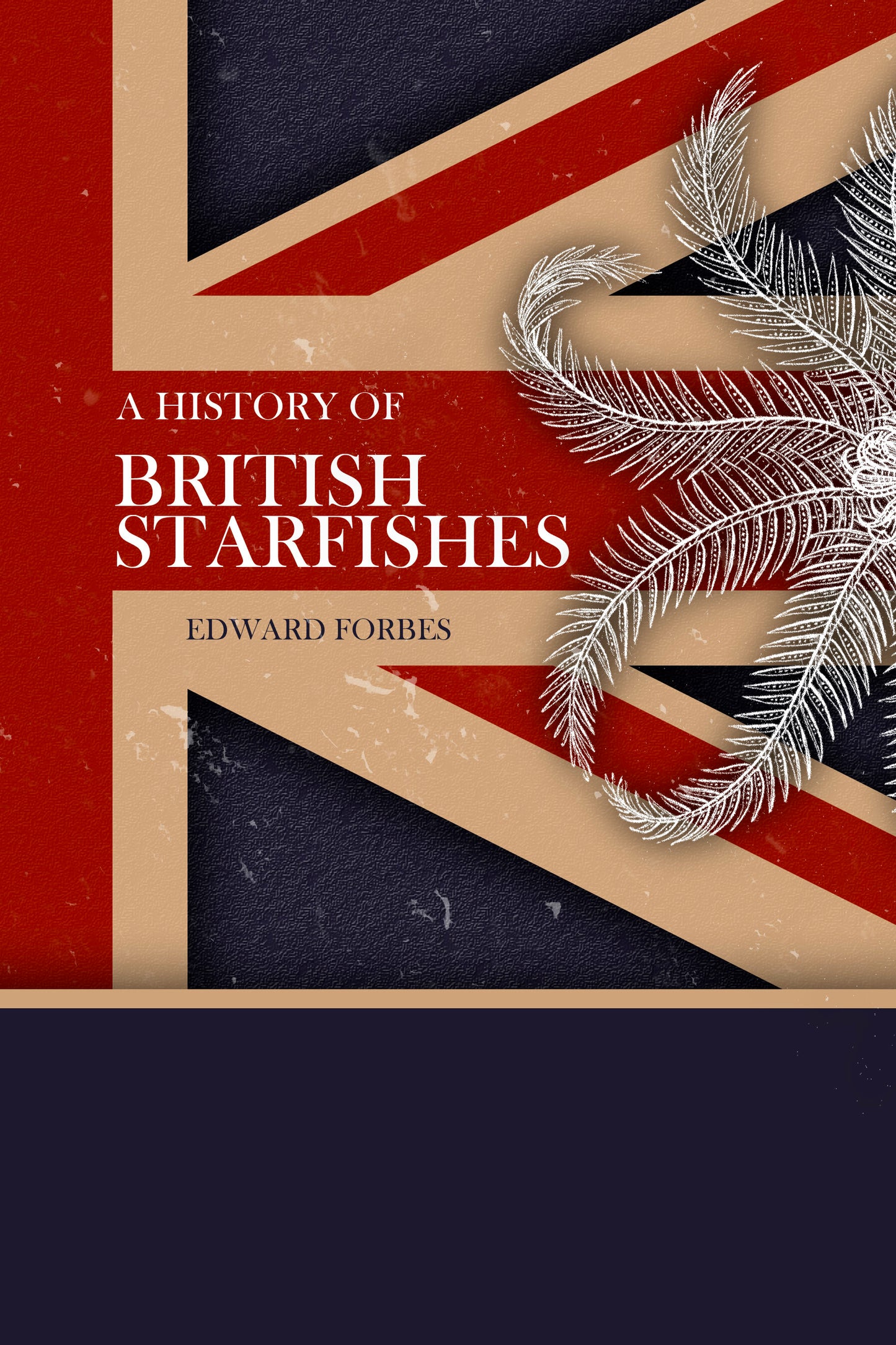 History of British Starfishes