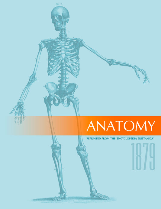 Anatomy 1879