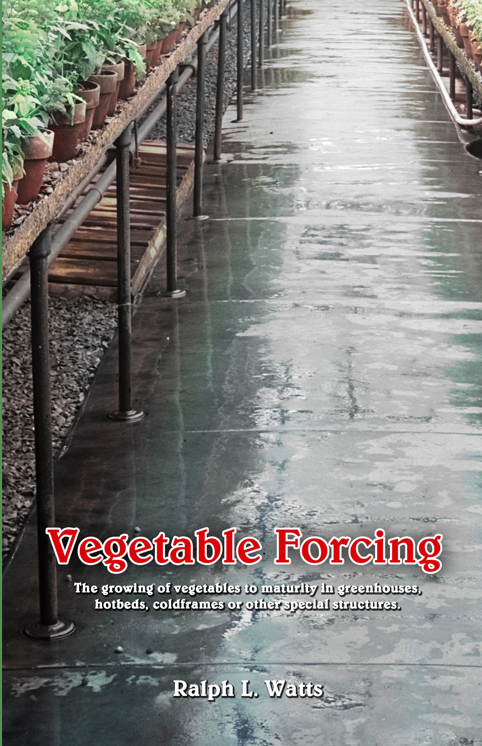 Vegetable Forcing