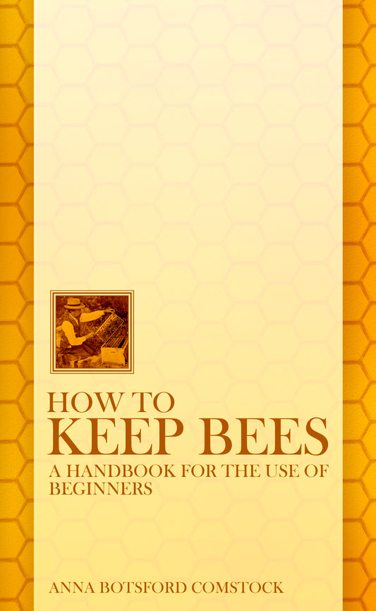 How To Keep Bees