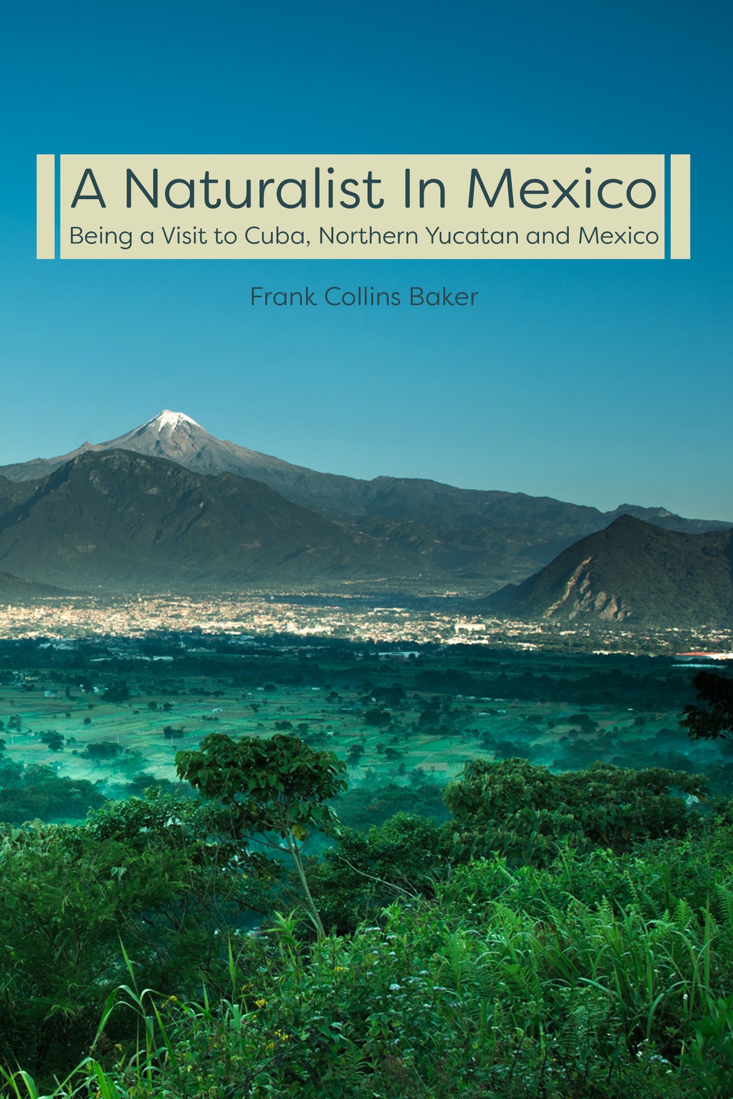 A Naturalist In Mexico