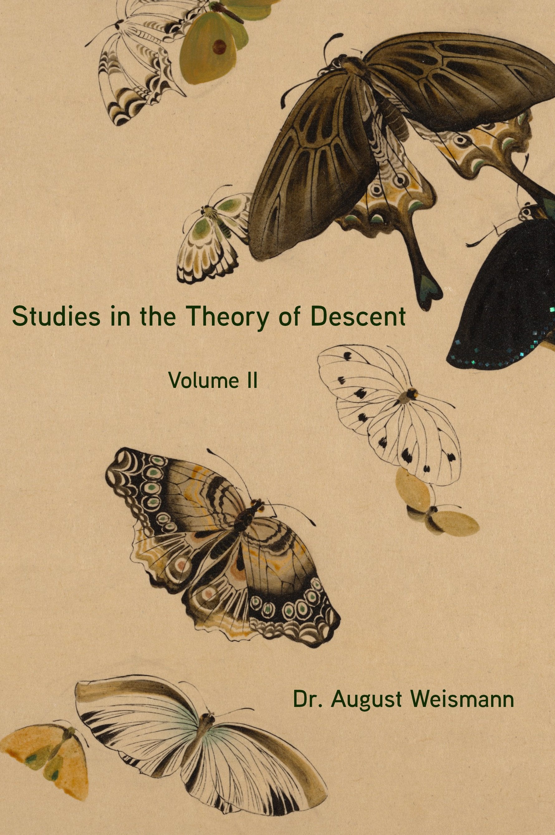 Studies in the Theory of Descent Volume II
