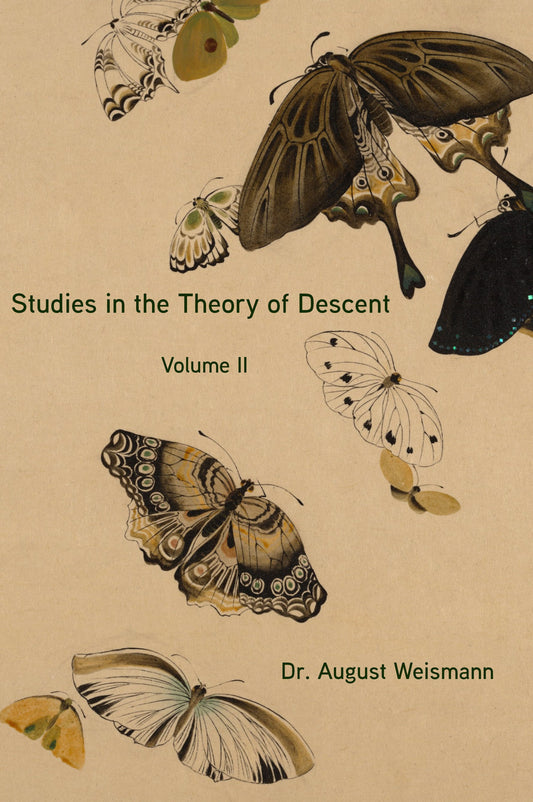 Studies in the Theory of Descent Volume II