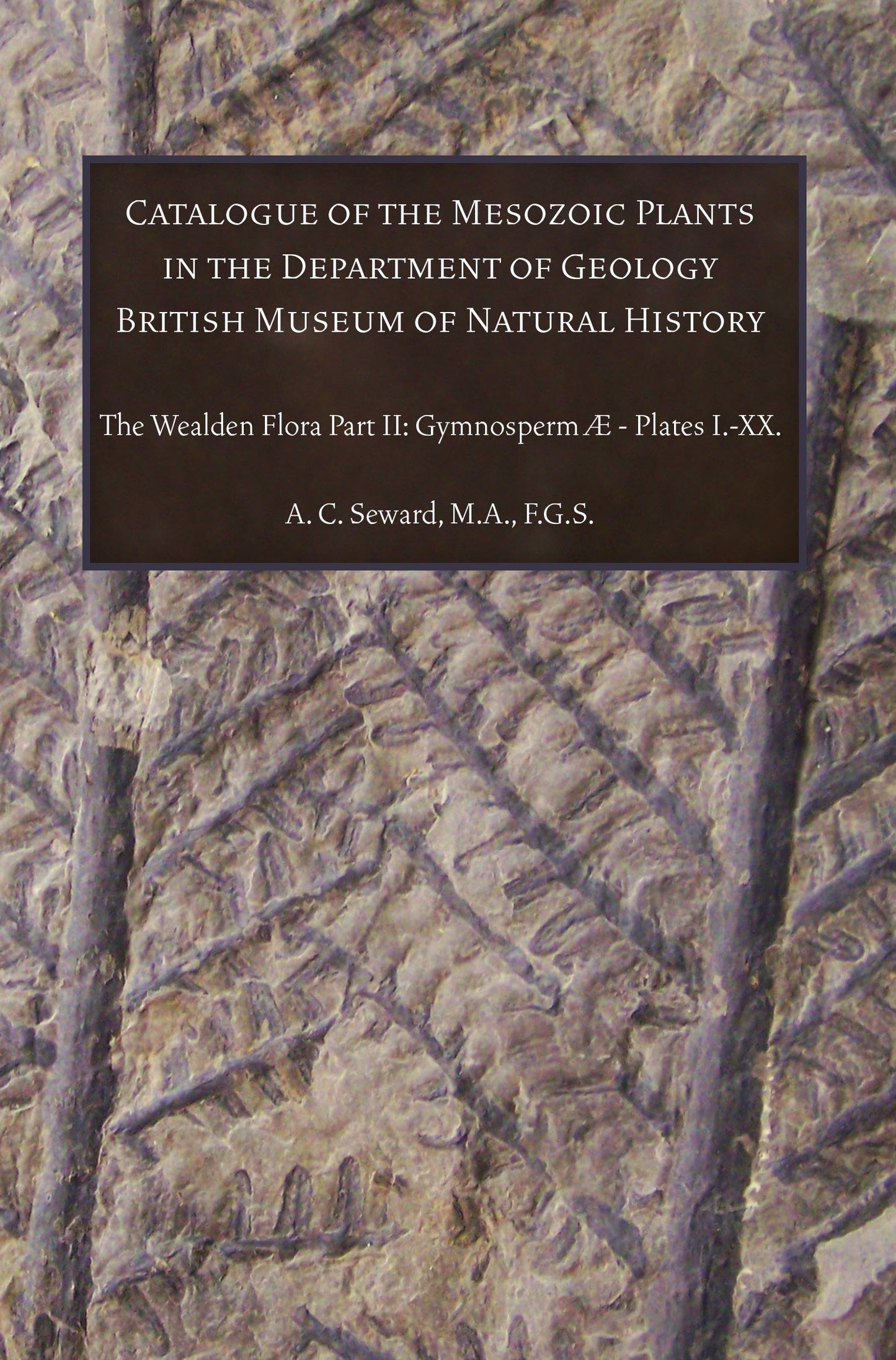 Catalogue Of The Mesozoic Volume II