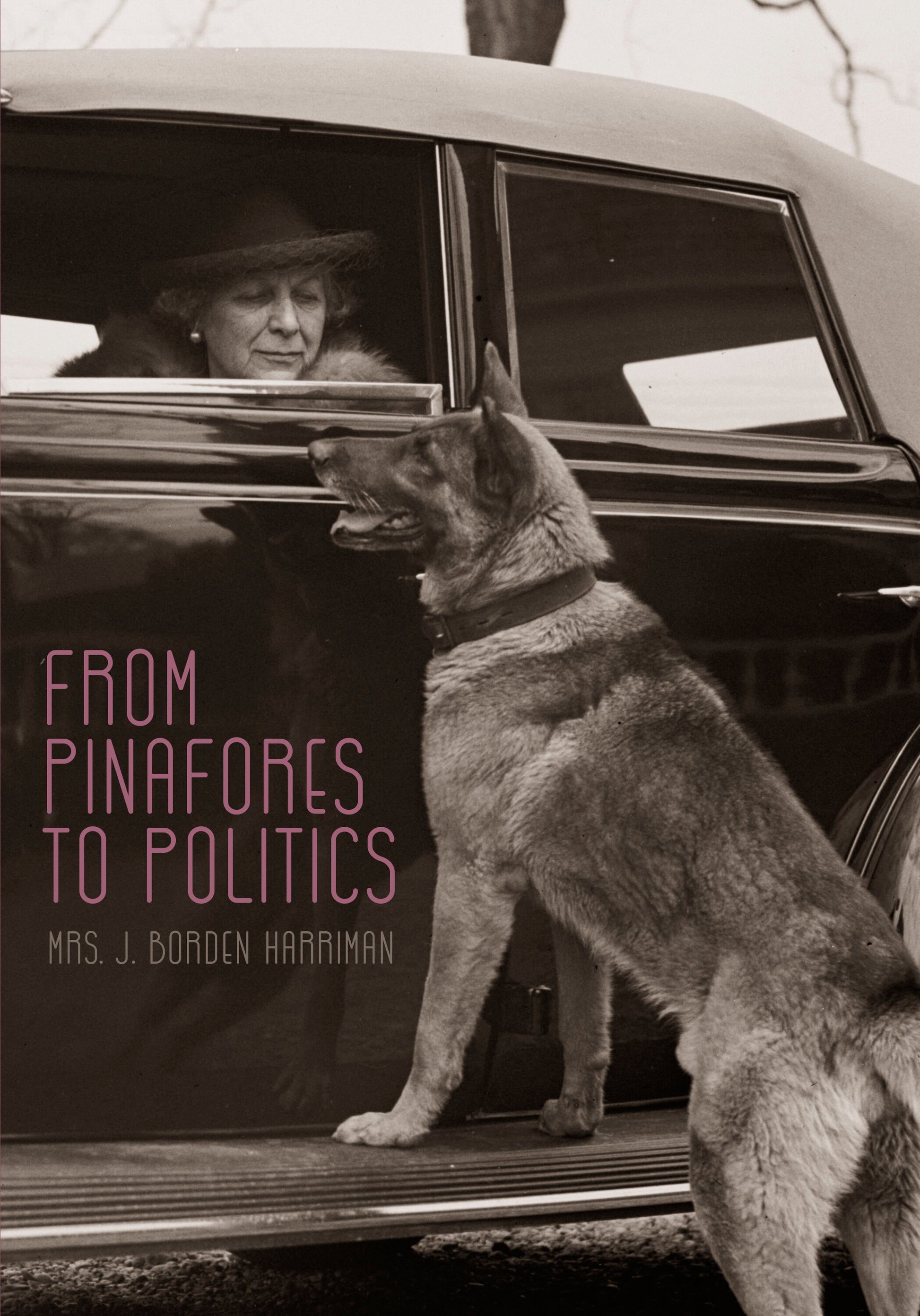 From Pinafores To Politics