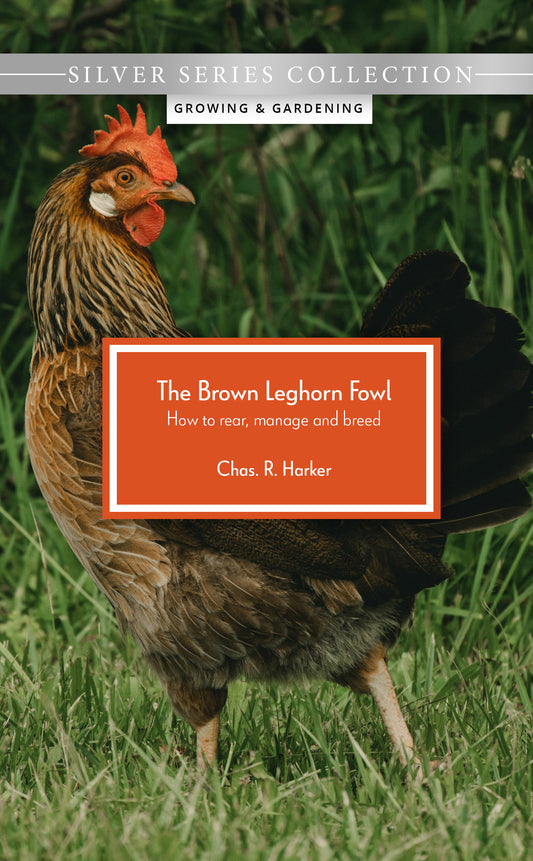 The Brown Leghorn Fowl