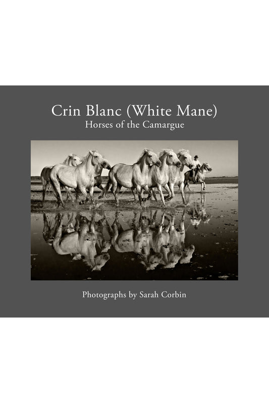 Crin Blanc (White Mane): Horses of the Camargue 